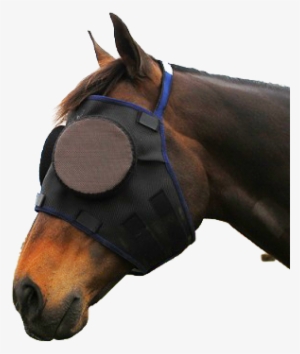 Guardian Fly Mask
