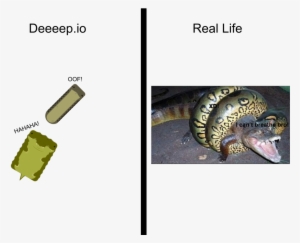 Io Vs Real Life - Crocodile