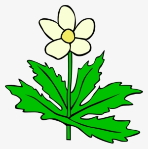 Anemone Canadensis Flower Clip Art Free Vector 4vector - Flower Of Plant Clipart