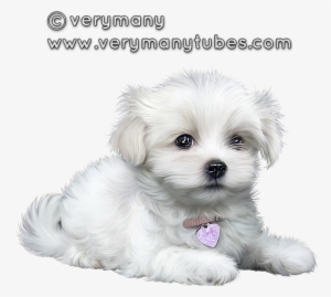 Cute Puppies, Clip Art, Animaux, Cutest Dogs, Illustrations - Dog