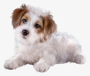 Cute Clipartpuppy - Dog