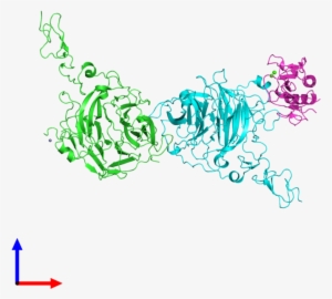 Ribbon Structure Of 3ho5 - Protein