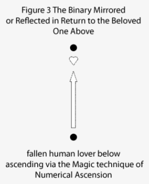 Figure 3 The Binary Mirrored Or Reflected In Return - Human
