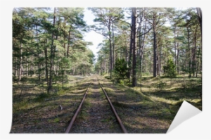 Track