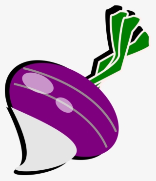 Turnip Png