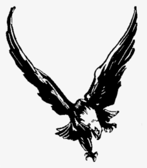 Flying Eagle Logo - Golden Eagle