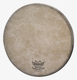Skyndeep® Paddle Drumhead Image - Remo 10 Inch Ambassador X Coated Drum Head