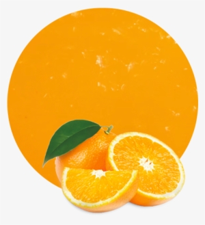 Com/wp Juice Nfc - Orange