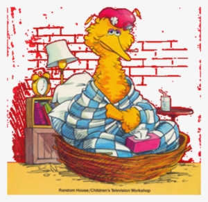 Big Bird Sick - Sesame Street Start To Read Nobody Cares
