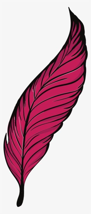 Bird Clip Art Transprent Png Free - Feather