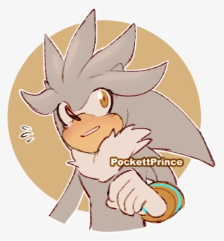 In This House We Love Silver The Hedgehog - Cartoon