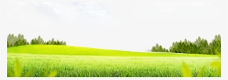 Meadow Png High-quality Image - Meadow Transparent Background