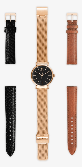 The Sully Gold Rose/black Box - Analog Watch