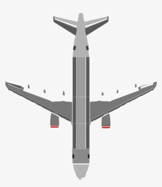 Bird Strike - Boeing 727