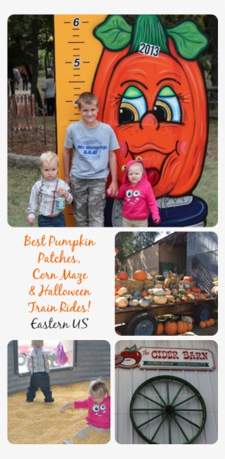 Here Is A List Of Some Of The Best Pumpkin Patches, - Toddler