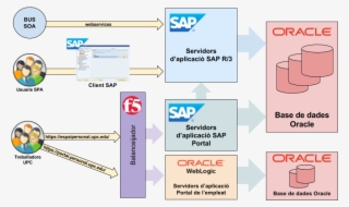 Sap
