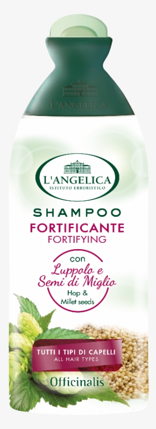 L Angelica Shampoo Review