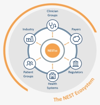 Nest Ecosystem Graphic - Nest Ecosystem