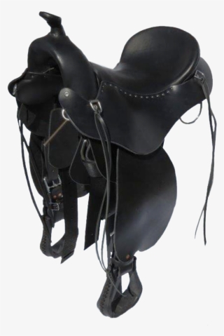 Wranglerbackangleeh Wranglersideshot Wranglerseatcloseup - Saddle