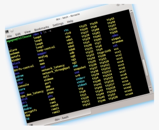 Mastering The Linux Shell - Screen