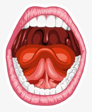 Vuestra Boca Puede Albergar Más De 6 Millones De Bacterias - Human Mouth  Transparent PNG - 2729x3317 - Free Download on NicePNG