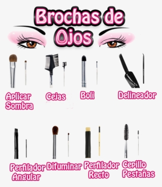 Brochas De Maquillaj De Ojos