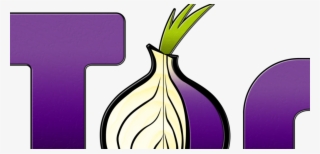 Nsa And Gchq Target Tor Network That Protects Anonymity - Tor