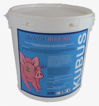Search - Domestic Pig