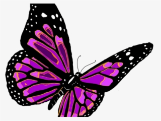 Monarch Butterfly Clipart Png Full Hd