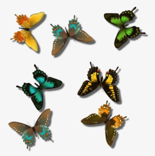 Clipart Hd Blogging - Swallowtail Butterfly
