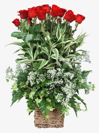 Basket Arrangement With 25 Red Roses - Garden Roses