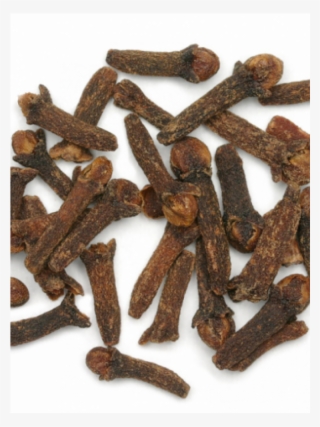 clove bud indonesia - spice for toothache