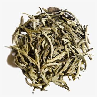 White Bud Yin Zhen - Shoumei Tea Png