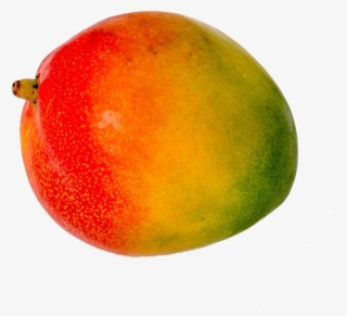 Mango Png Image & Mango Clipart - Mango