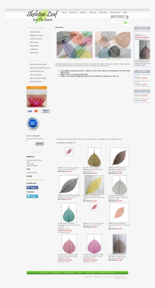 Web Page