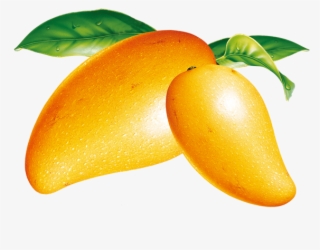 Mango Png Clipart - Fresh Mango Png