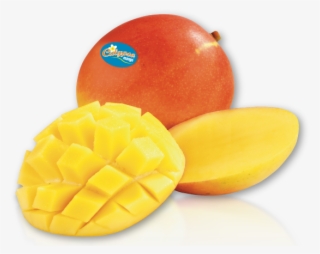 Calypso Mango - Mango