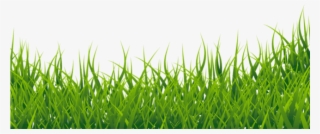 Free Png Download Grasspicture Png Images Background - Green Grass Border Png
