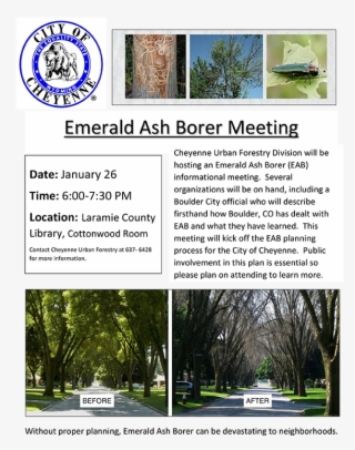 Emerald Ash Borer Meeting - City Of Cheyenne