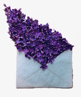 Dark Purple Flowers Aesthetic