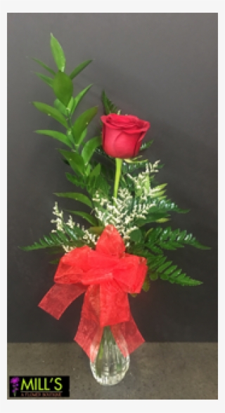Single Rose In A Bud Vase