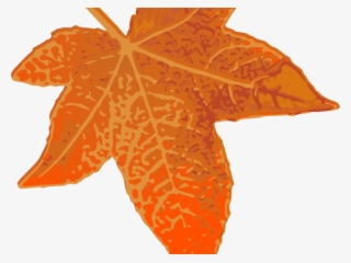 Maple Leaf Clipart 7 Leaves - Maplestory F5 Transparent Background