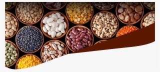 Dry Fruits - Dry Fruit Banners Png