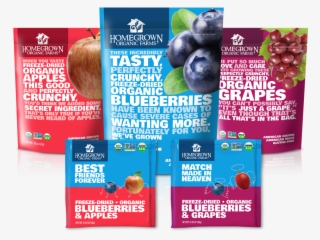 The Future Of Healthy Kid Snacks - Homegrown Freeze Dried Fruit