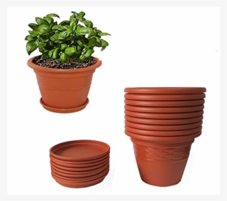 Flower Pots - Ceramic Flower Pots Online India