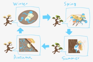 Figure 3 The Life Cycle Of B - Cartoon
