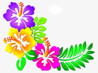 Graphic Design Art Flower Hd - Imagenes De Flores Hawaianas Transparent ...