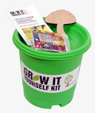 Birds & Bees Pollinators Giy Kit - Plastic