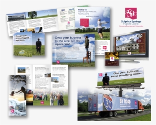 Ssedcportfolio - Flyer