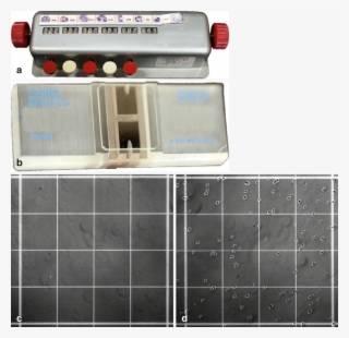 2 Materials Required For Counting Cells Using A Hemocytometer - Machine